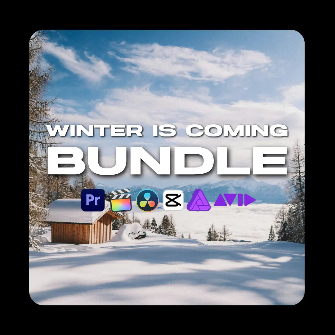 Winter LUT Bundle Luts4Days